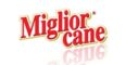 Miglior cane