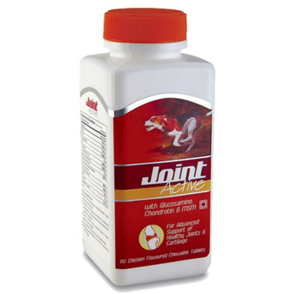 Buy All4Pet Joint Active