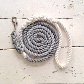 Buy Ombre Dog Leash