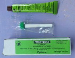 PENDISTRIN - SH