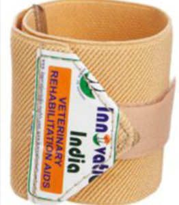 Inno-Band-For-Dog