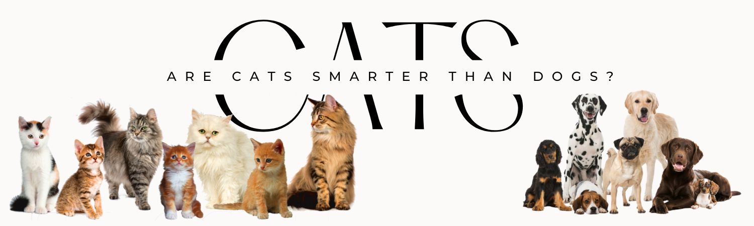 Are cats smarter than dogs